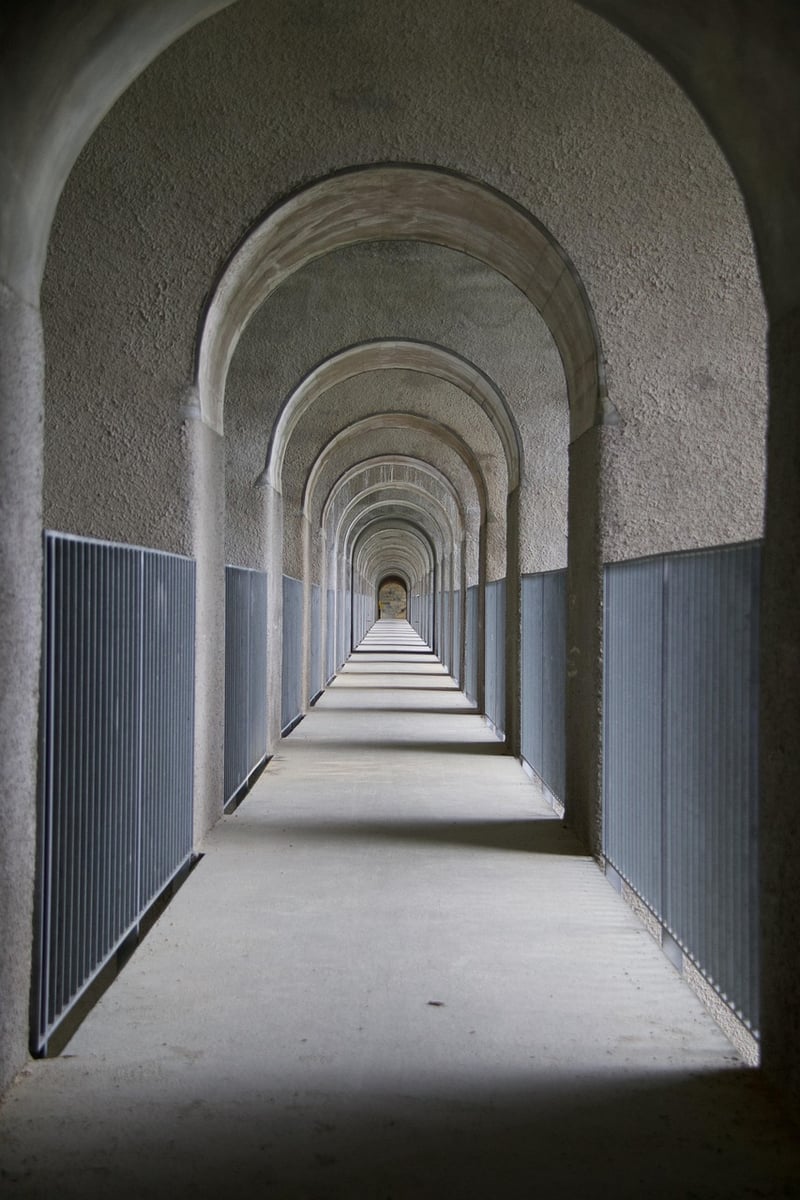 Woodland Archways